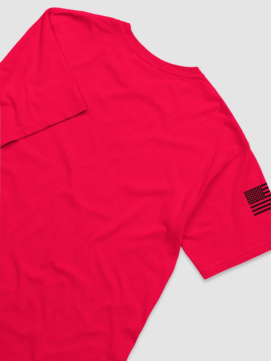 Inspired America Banner/Patriot-T product image (4)