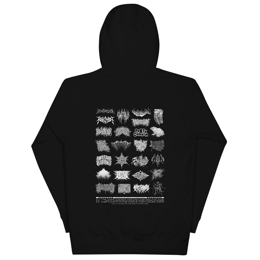 DML Season 01 Tour Hoodie product image (3)