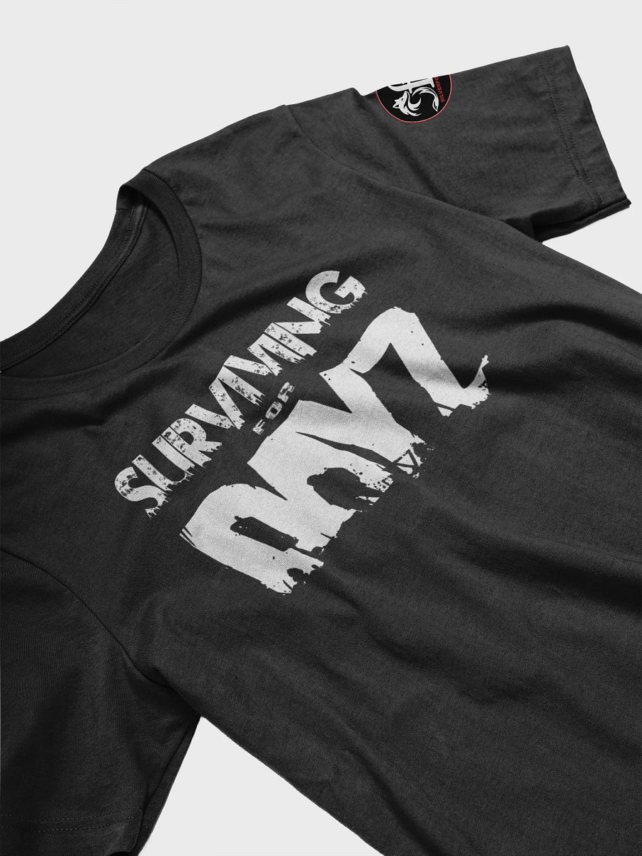 DayZ product image (14)