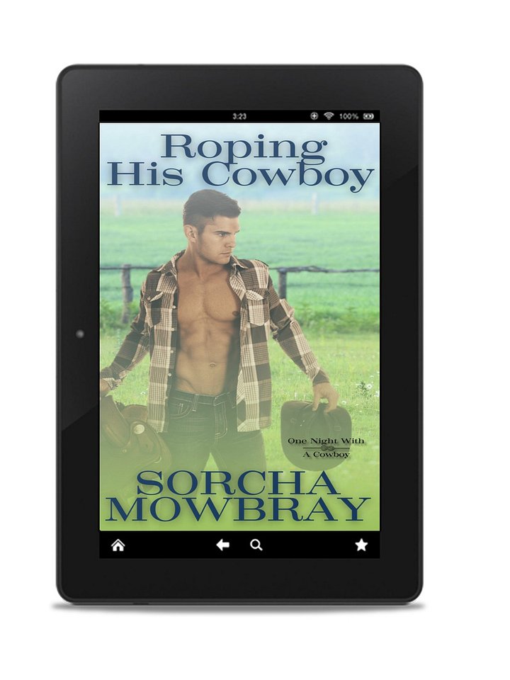Roping His Cowboy (One Night With A Cowboy, Book 4) product image (1)