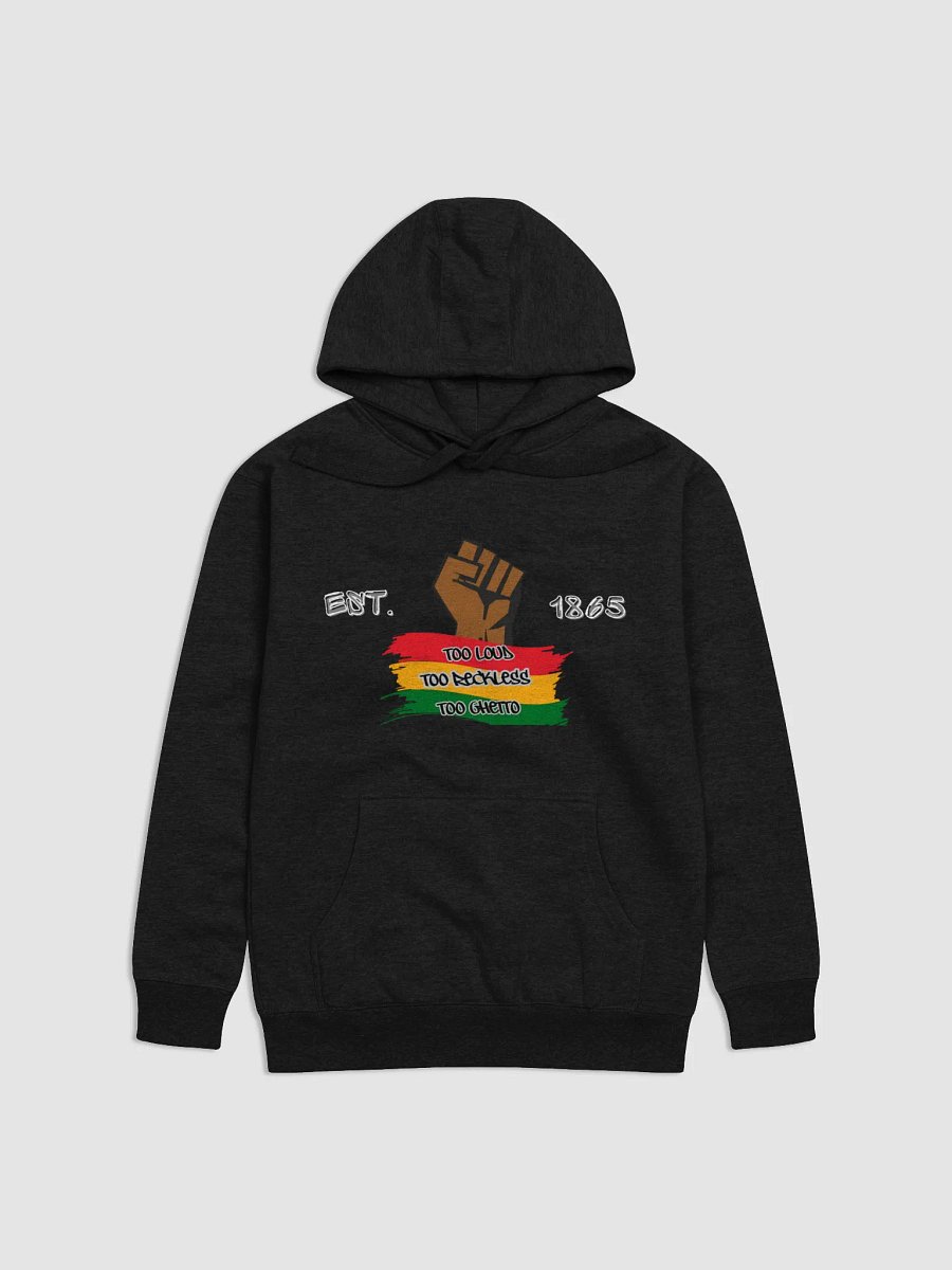 TOO LOUD TOO RECKLES TOO GHETTO HOODIE product image (1)