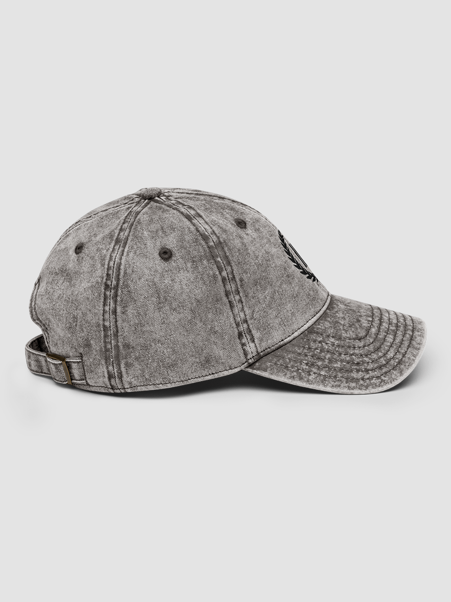 I.O.U™ Dad Hat product image (9)