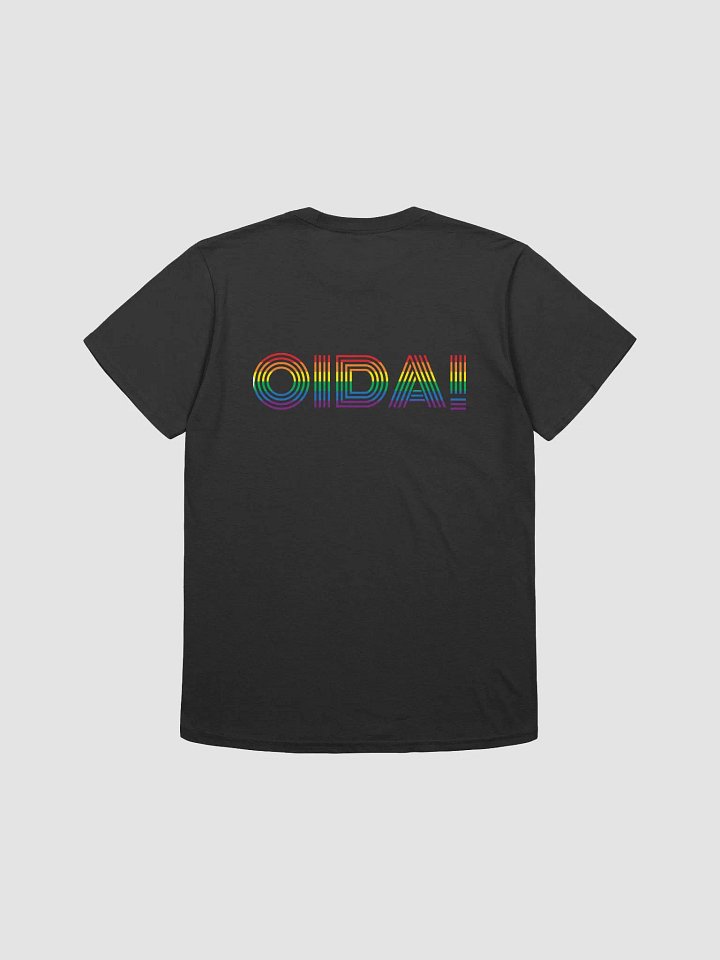 OIDA! Pride T-Shirt | US product image (2)