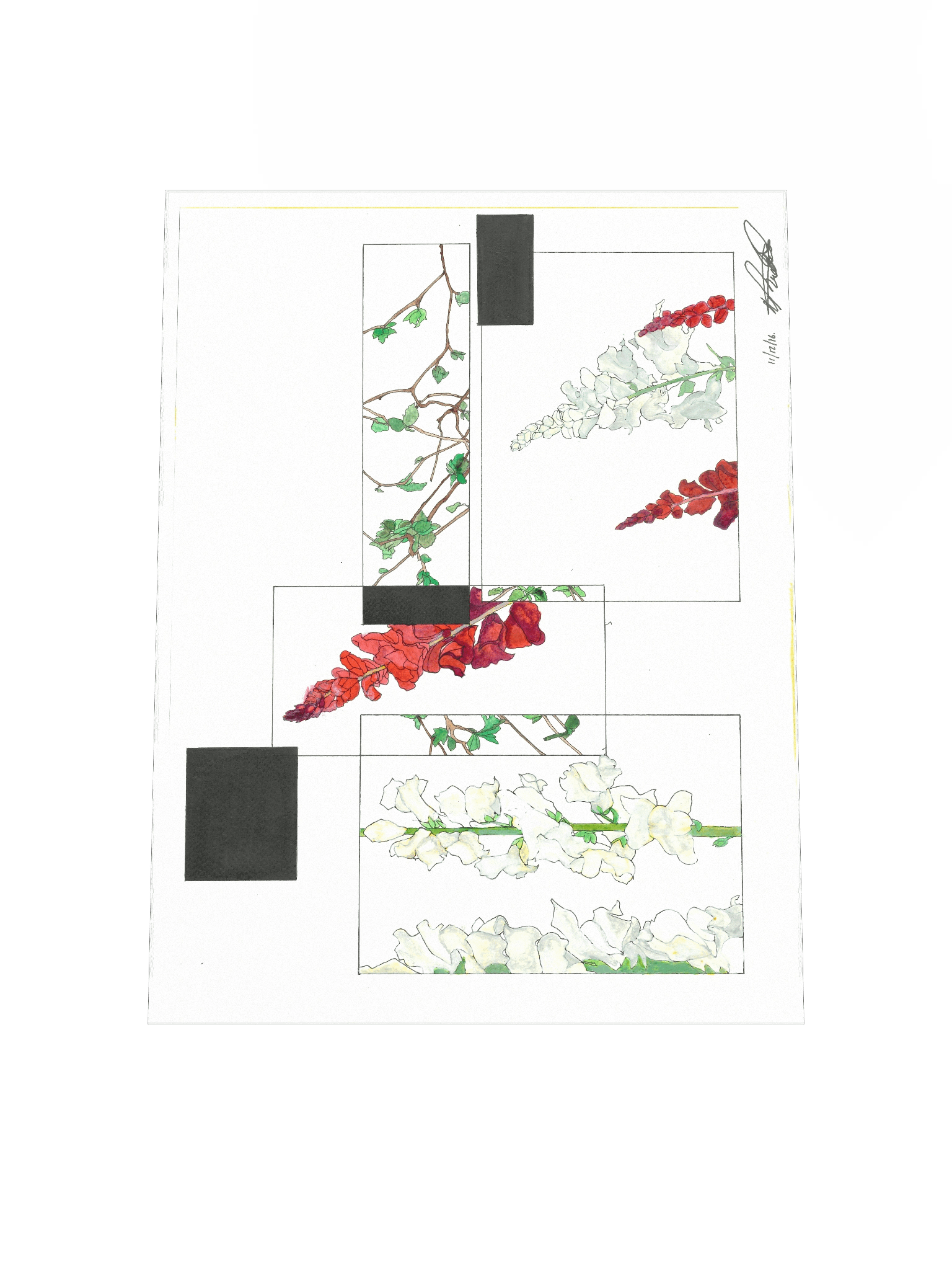 Floral Frames Poster Print (Landscape) product image (4)