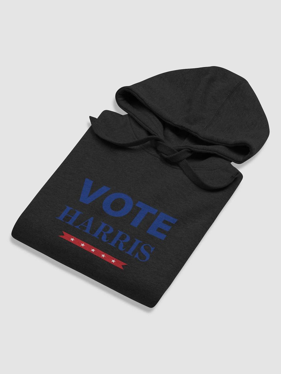 Vote Harris Comfort Hoodie product image (66)