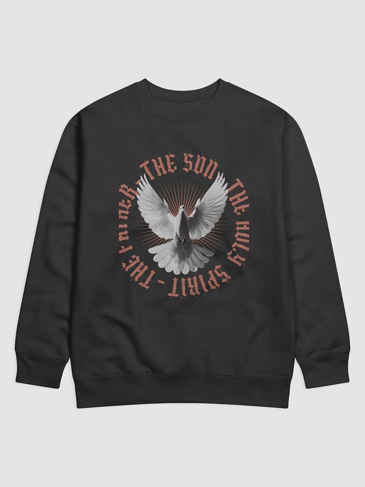 Symmetrical Dove Flight Premium Sweatshirt product image (1)