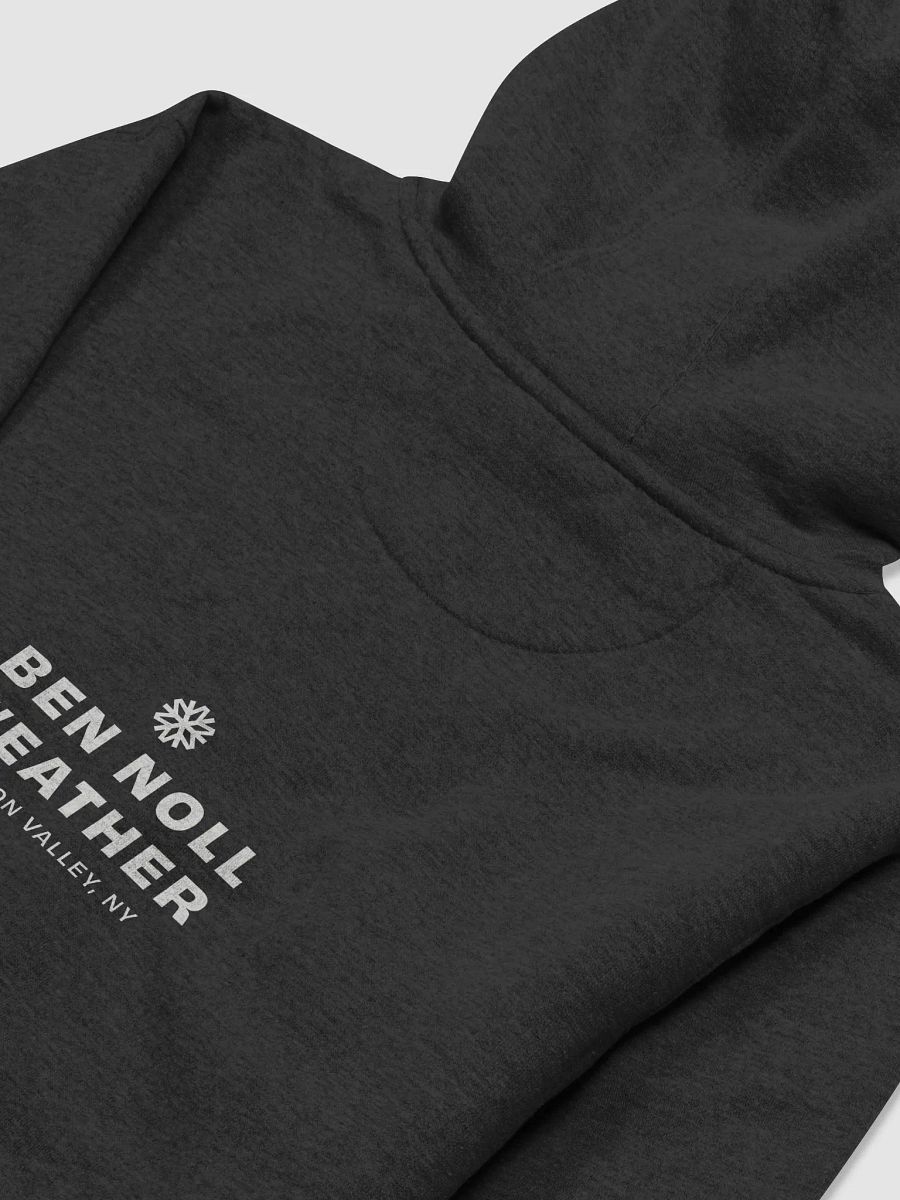 BNW - snow globe, black, hoodie product image (4)
