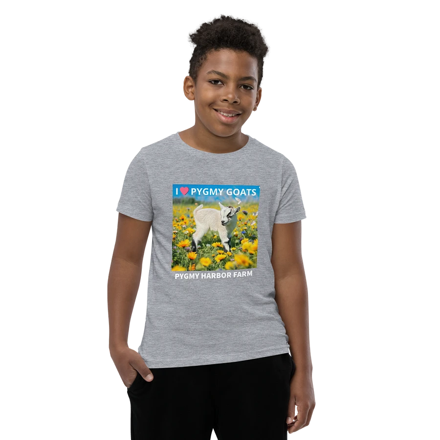 I LOVE PYGMY GOATS YOUTH T-SHIRT product image (8)