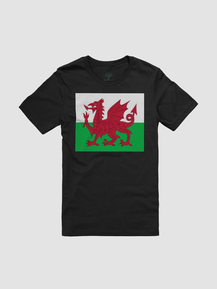 Exclusive Supersoft Unisex Welsh Flag T-Shirt by Graphic Grove product image (3)