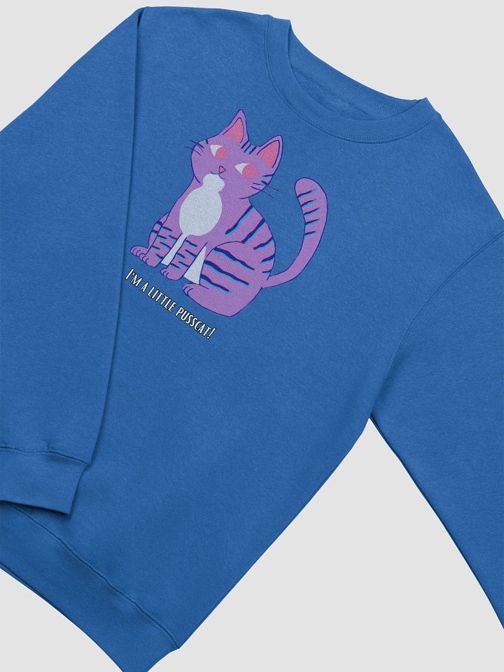 Lil Pusscat Sweater product image (2)