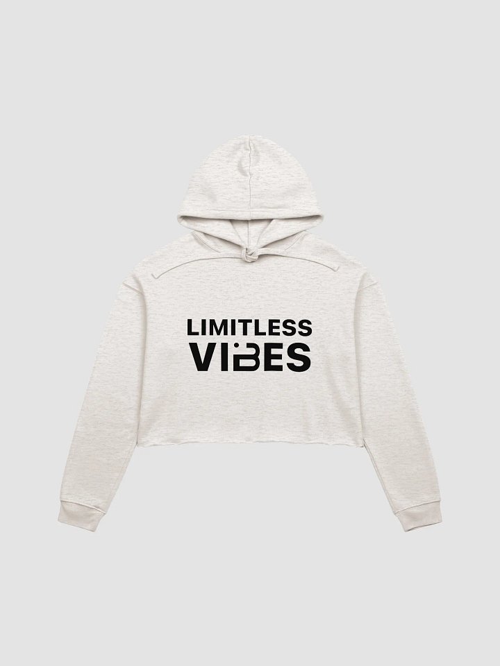BUIII Limitless Vibes Fleece Crop Hoodie product image (1)
