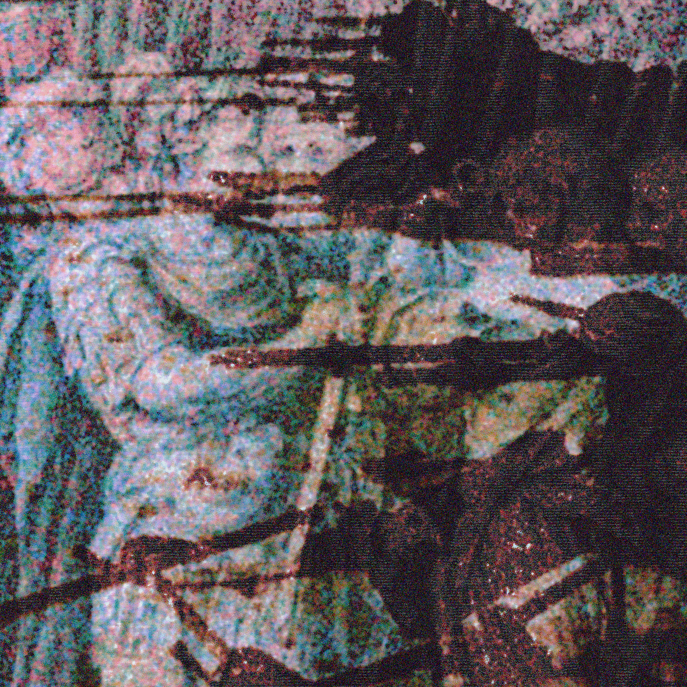 Dzungar - I'll Show You A Brothers War [Digital Album, 2025] product image (1)