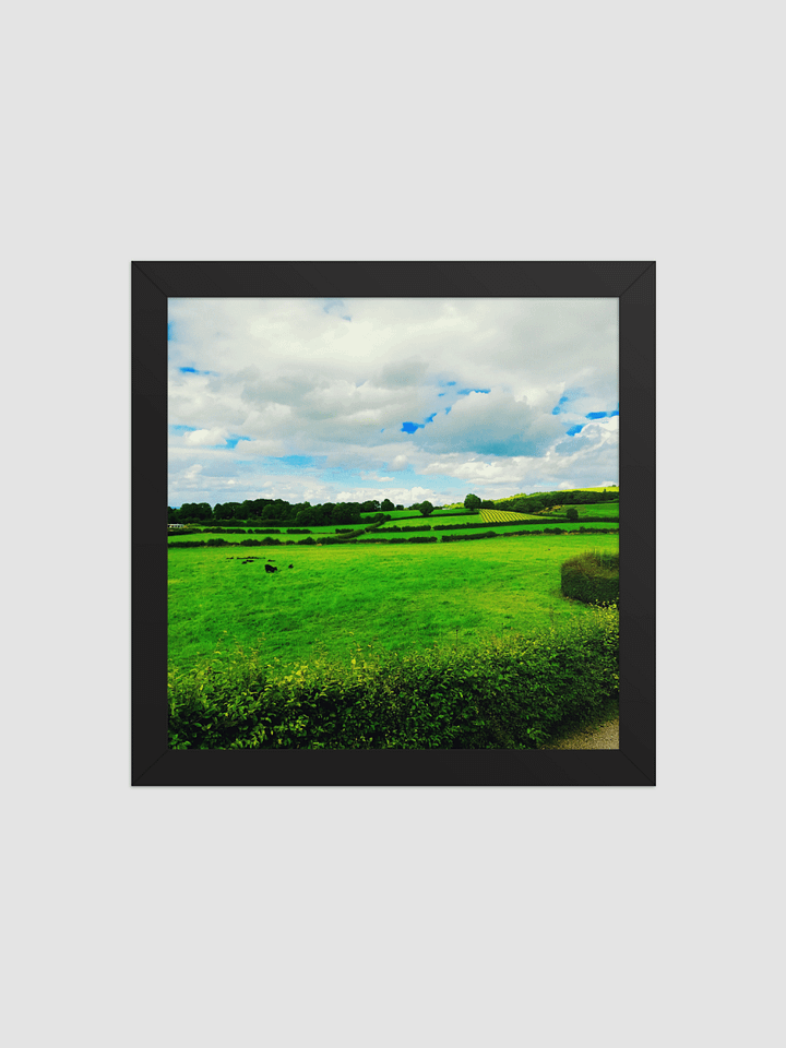 grassy fields Framed photography Poster product image (1)