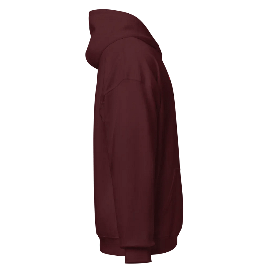 Surf Piggo Mark Hoodie product image (3)