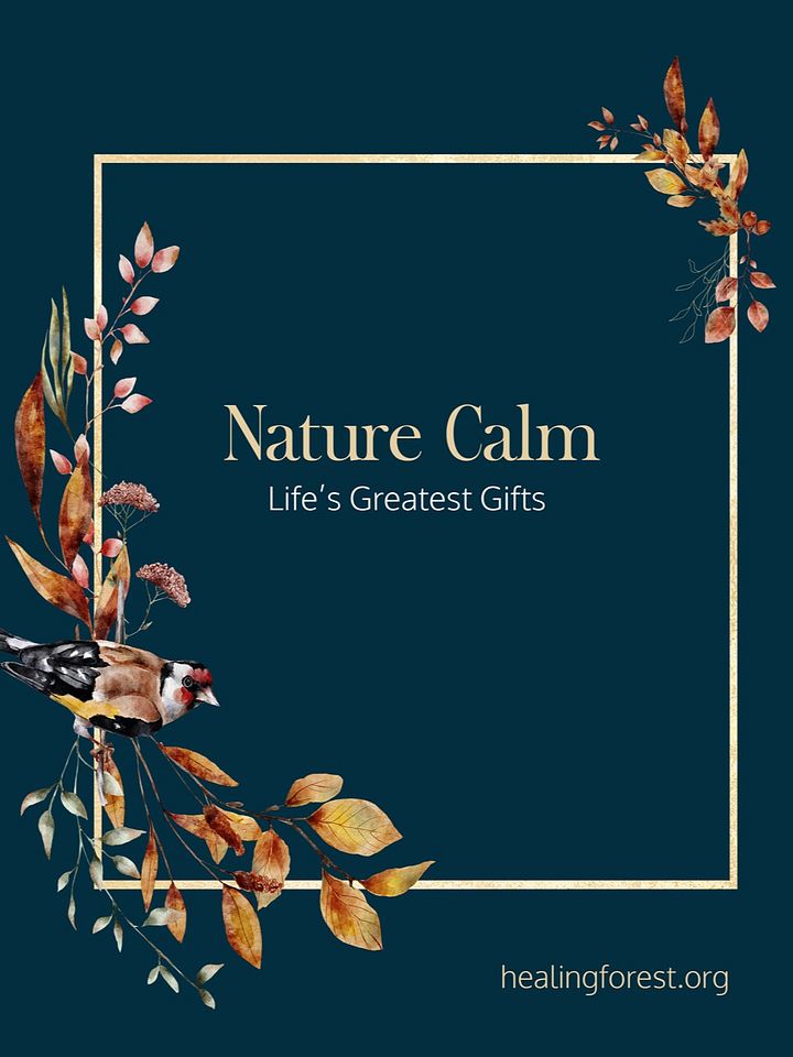 Nature Calm - A Journey of Change product image (1)