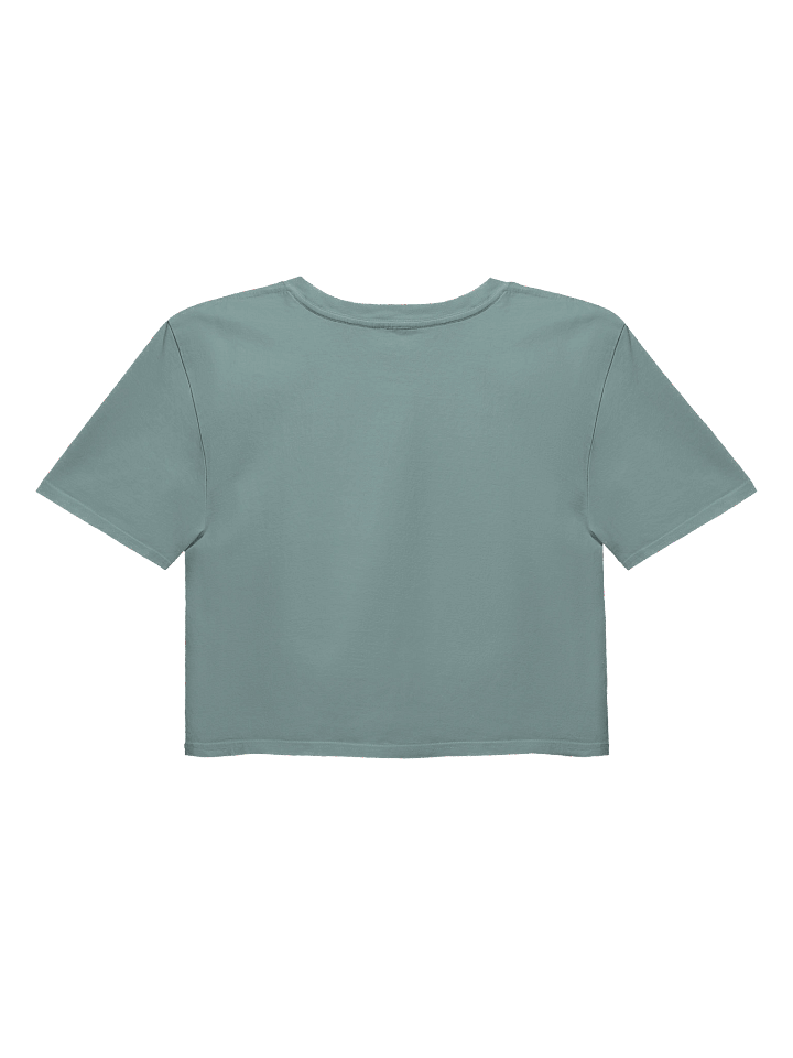 No Means No! Sheep Protest Crop Top product image (14)