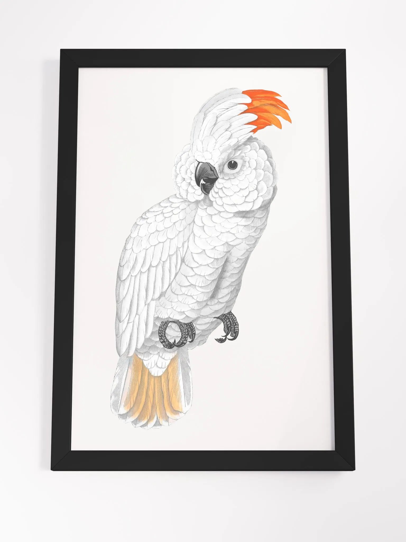 Ecotone Parrot Print Framed Art product image (4)
