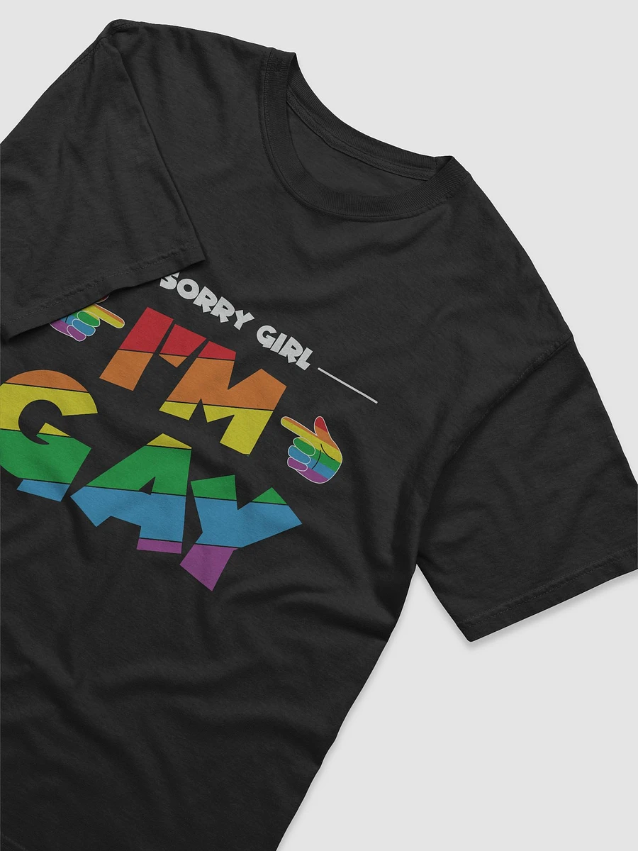 SORRY GIRL I'M GAY T-SHIRT product image (3)