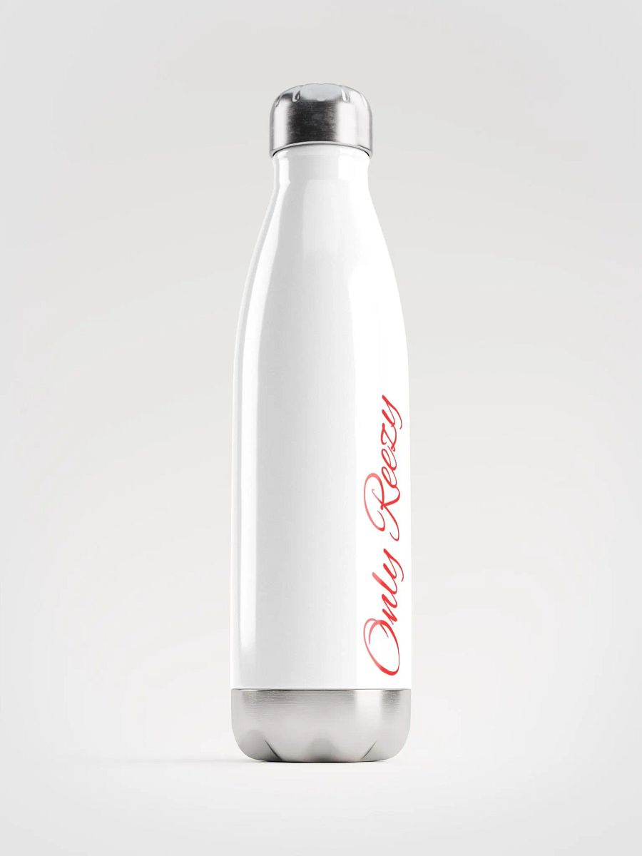 Reezy's Signature Stainless Steel Thirst Quencher product image (3)