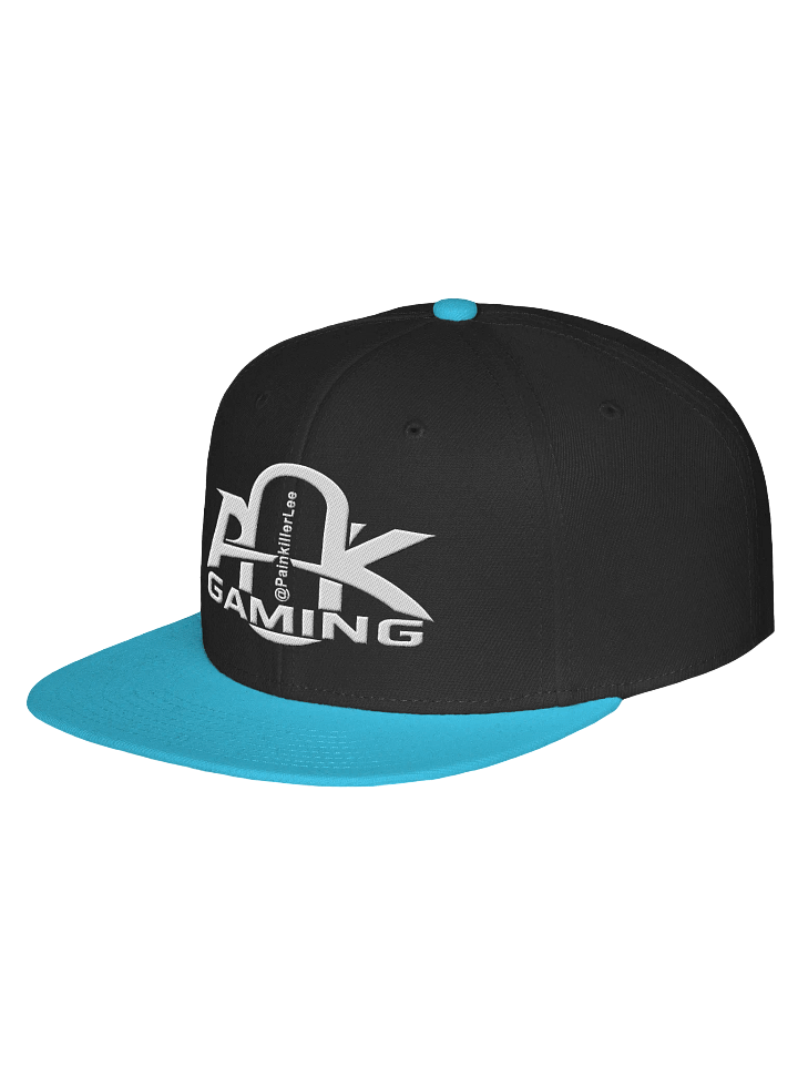 Snapback Cap with PainkillerLee Logo product image (15)