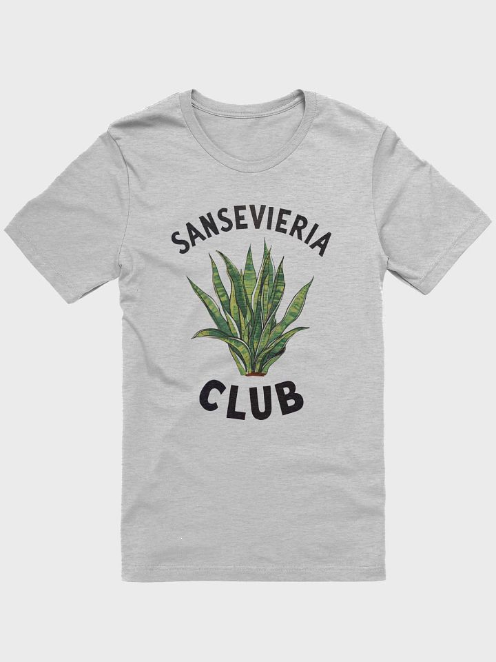 Sansevieria Club product image (2)