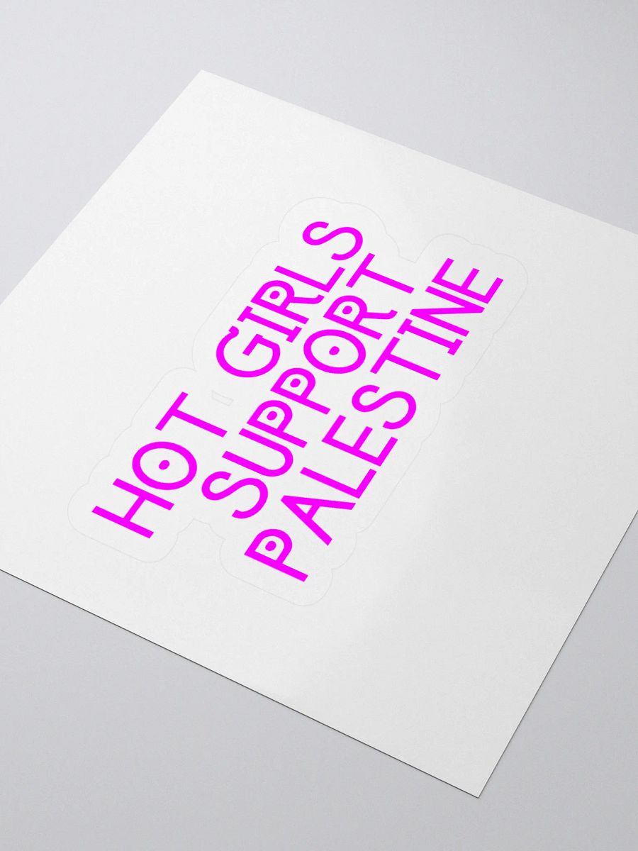 HOT GIRLS SUPPORT PALESTINE Sticker product image (8)
