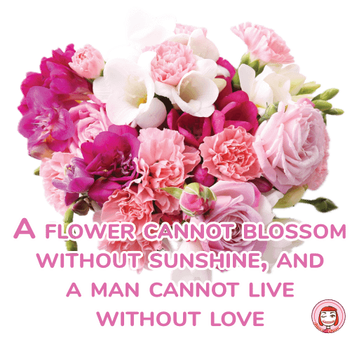 002-001 PNG 512px 300DPI | A flower cannot blossom without sunshine, and a man cannot live without love product image (1)