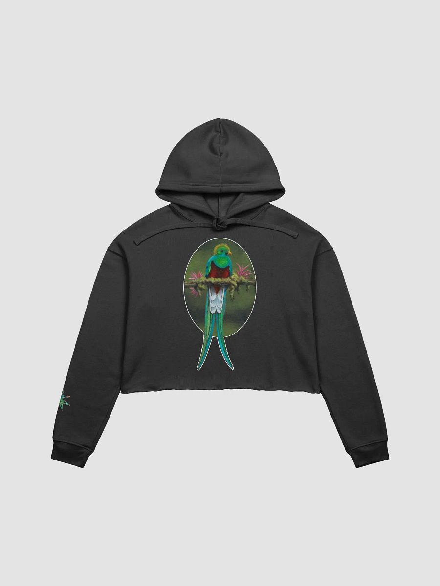 Resplendent Quetzal - SFA Crop Hoodie product image (5)