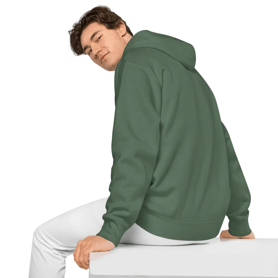 aquarius horoscope hoodie product image (6)