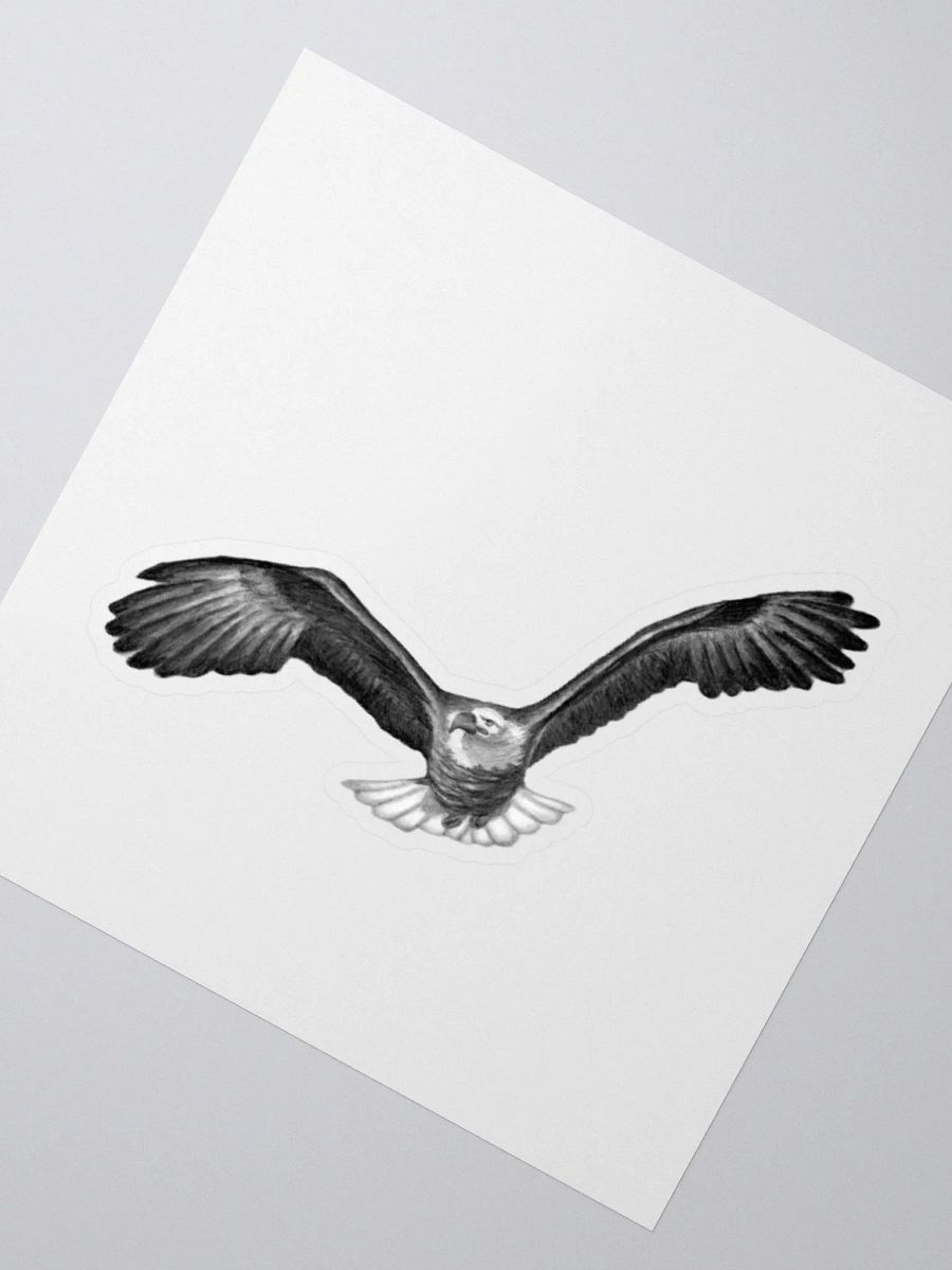 Eagle Drawing Sticker product image (4)