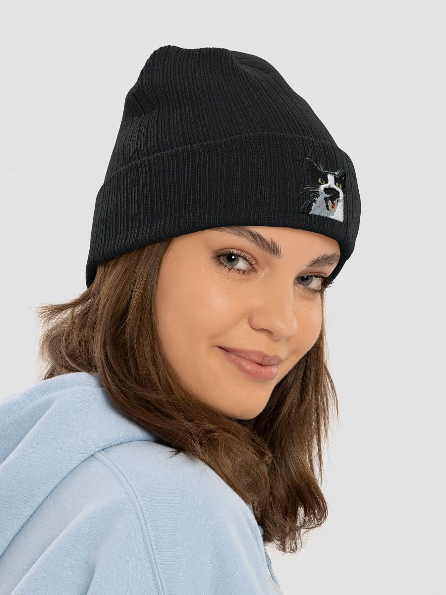Loki Cuffed Beanie product image (6)