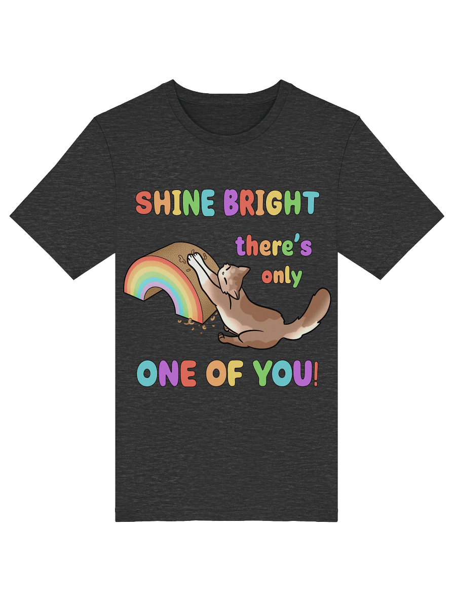 Shine Bright Pride Shirt product image (51)