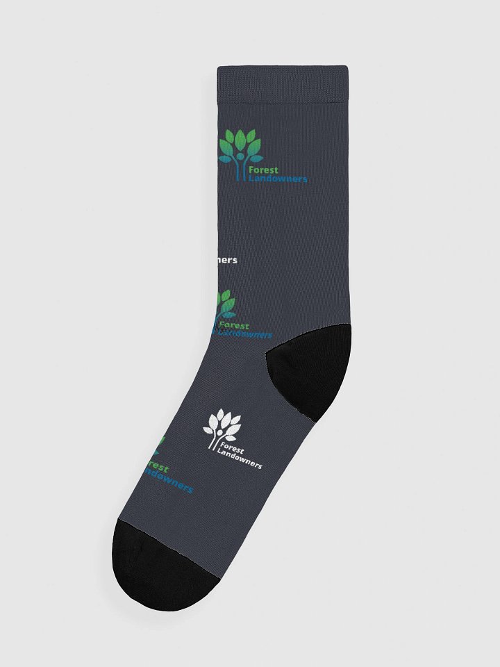 FLA logo socks product image (1)