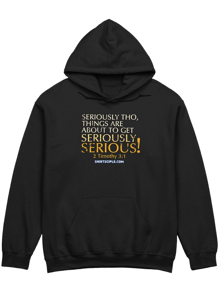 Seriously Serious Hoodie product image (3)
