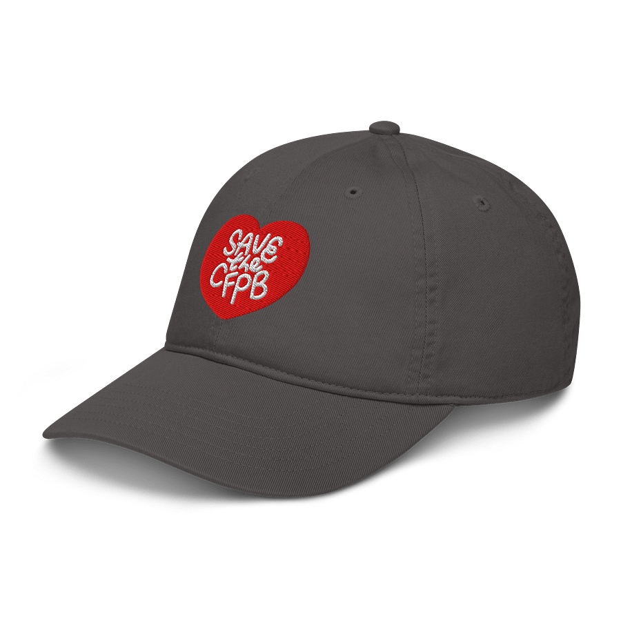 Save the CFPB Baseball Hat (100% Organic Cotton) product image (4)