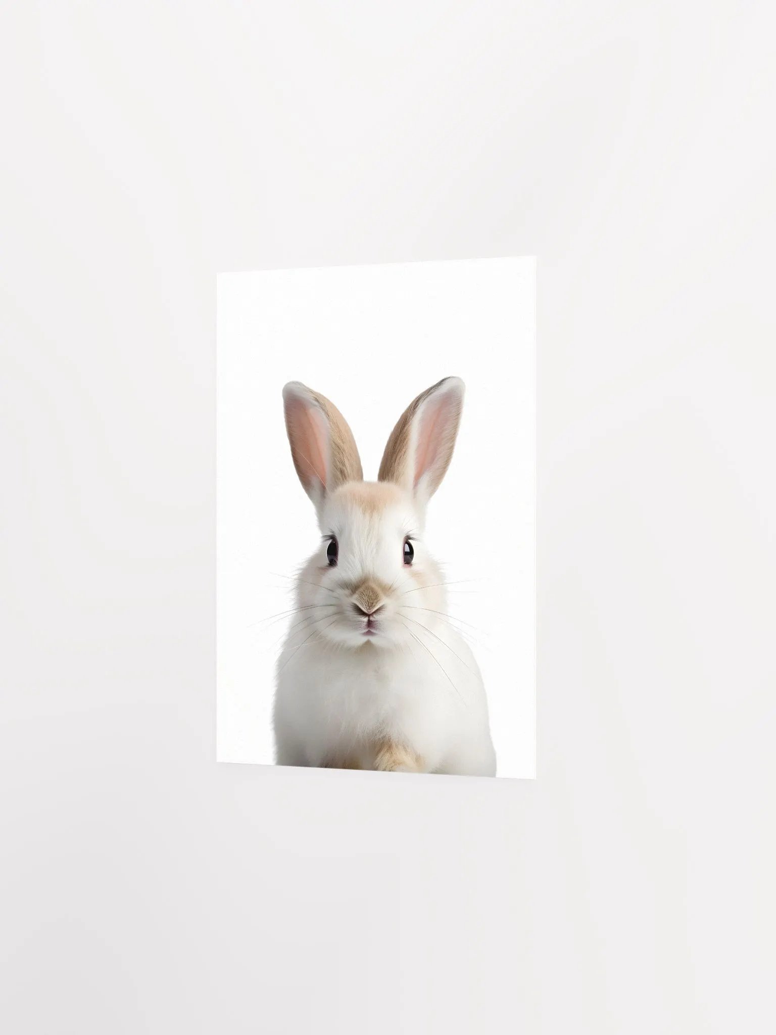 Fluffy Bunny Bliss Print product image (4)