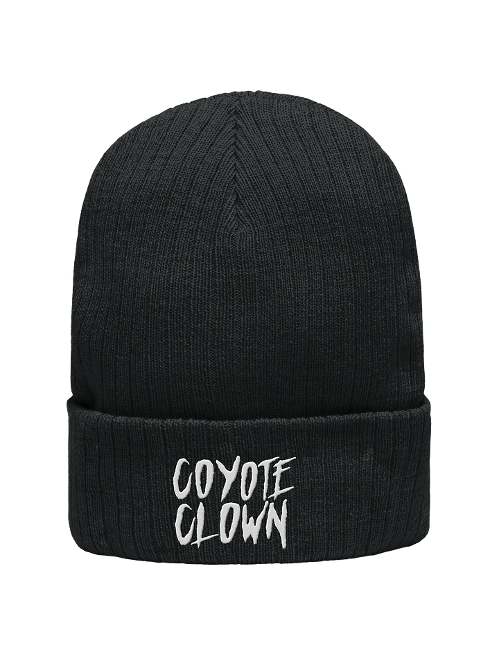 Beanie product image (1)