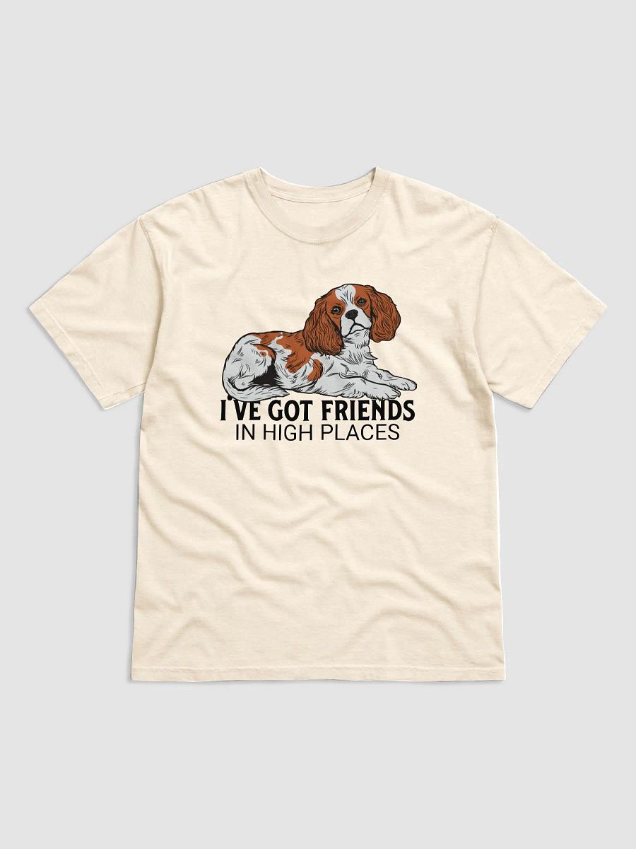 I've Got Friends in High Places T-Shirt of a Cavalier King Charles Spaniel | Funny T-Shirt for Spaniel Paw-rents product image (28)