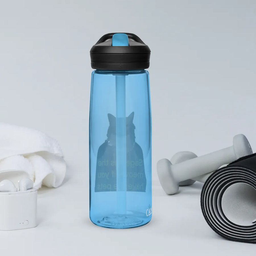 Sage Barter! Water Bottle Straw product image (68)