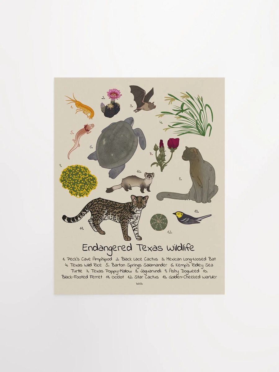 Endangered Texas Wildlife Print product image (1)