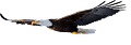 Man Uel