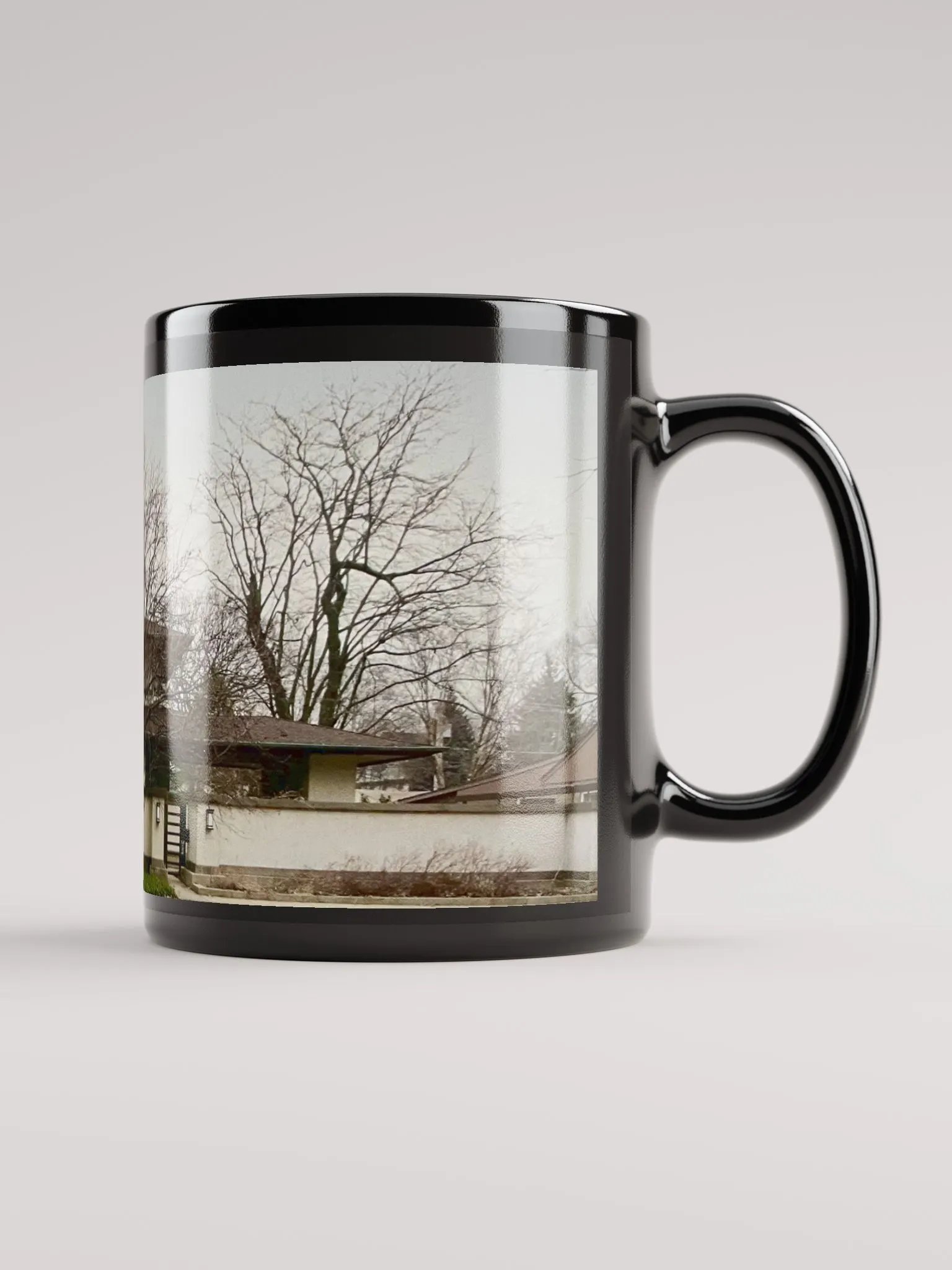 William E. Martin House product image (1)