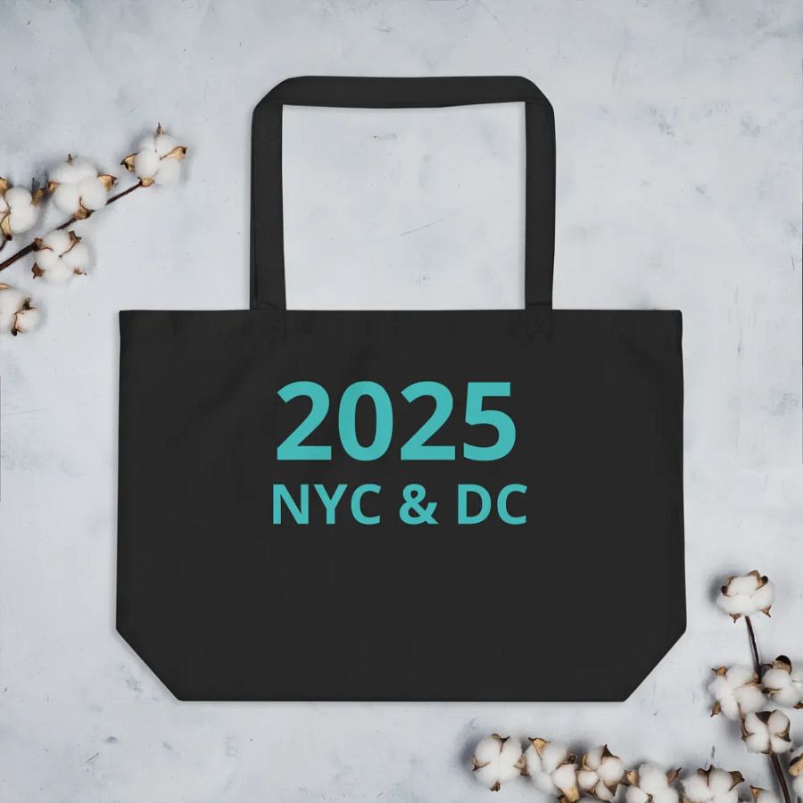 2025 NYC & DC Trip: Bag product image (3)