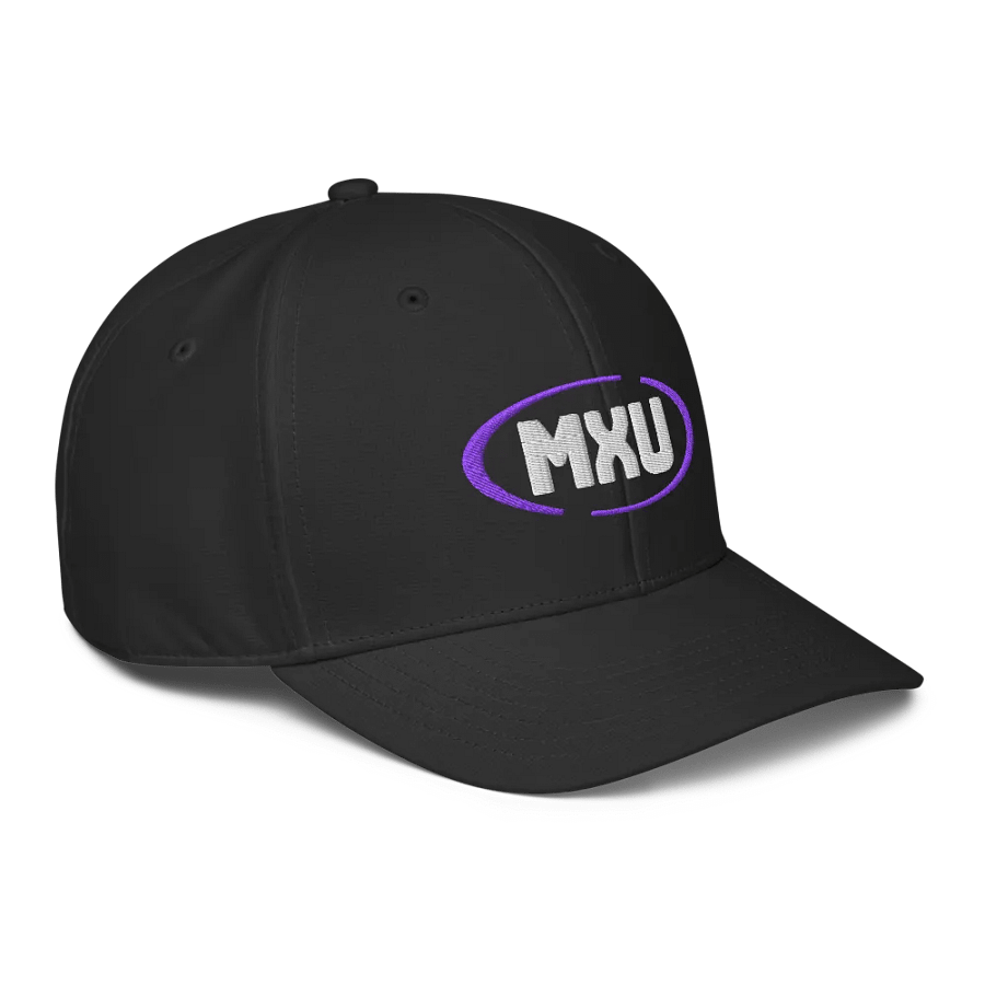 Performance Hat product image (3)