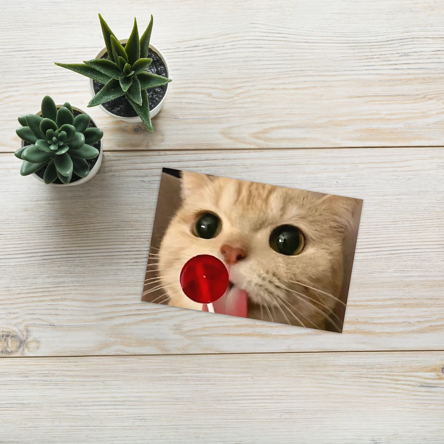 Greeting Card: Meme Cats product image (25)