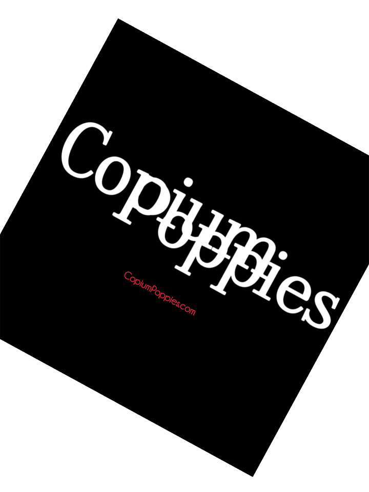 Copium Poppies Sticker product image (2)