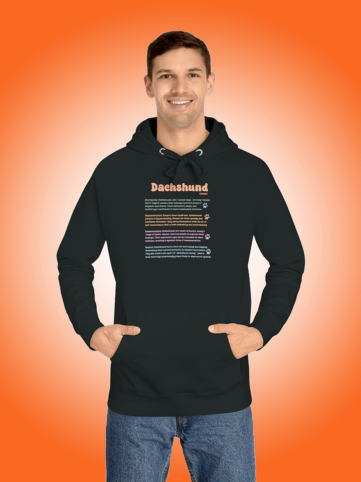 Definition of a Dachshund product image (1)