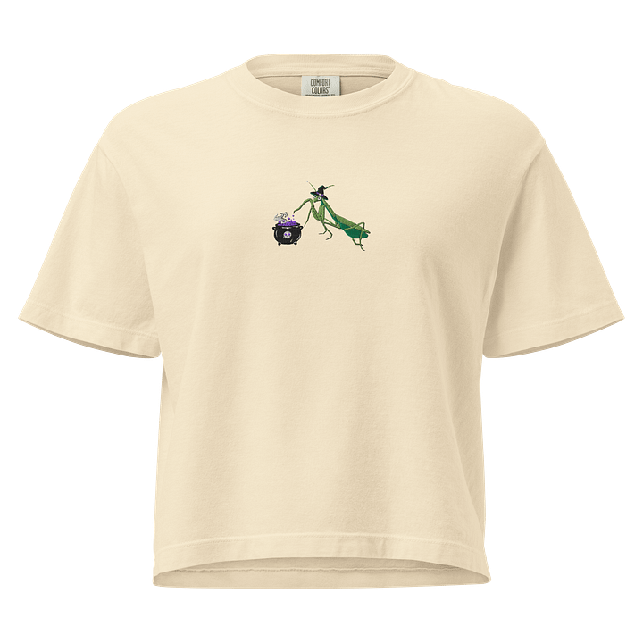 preying for potions stitched cropped tee product image (2)