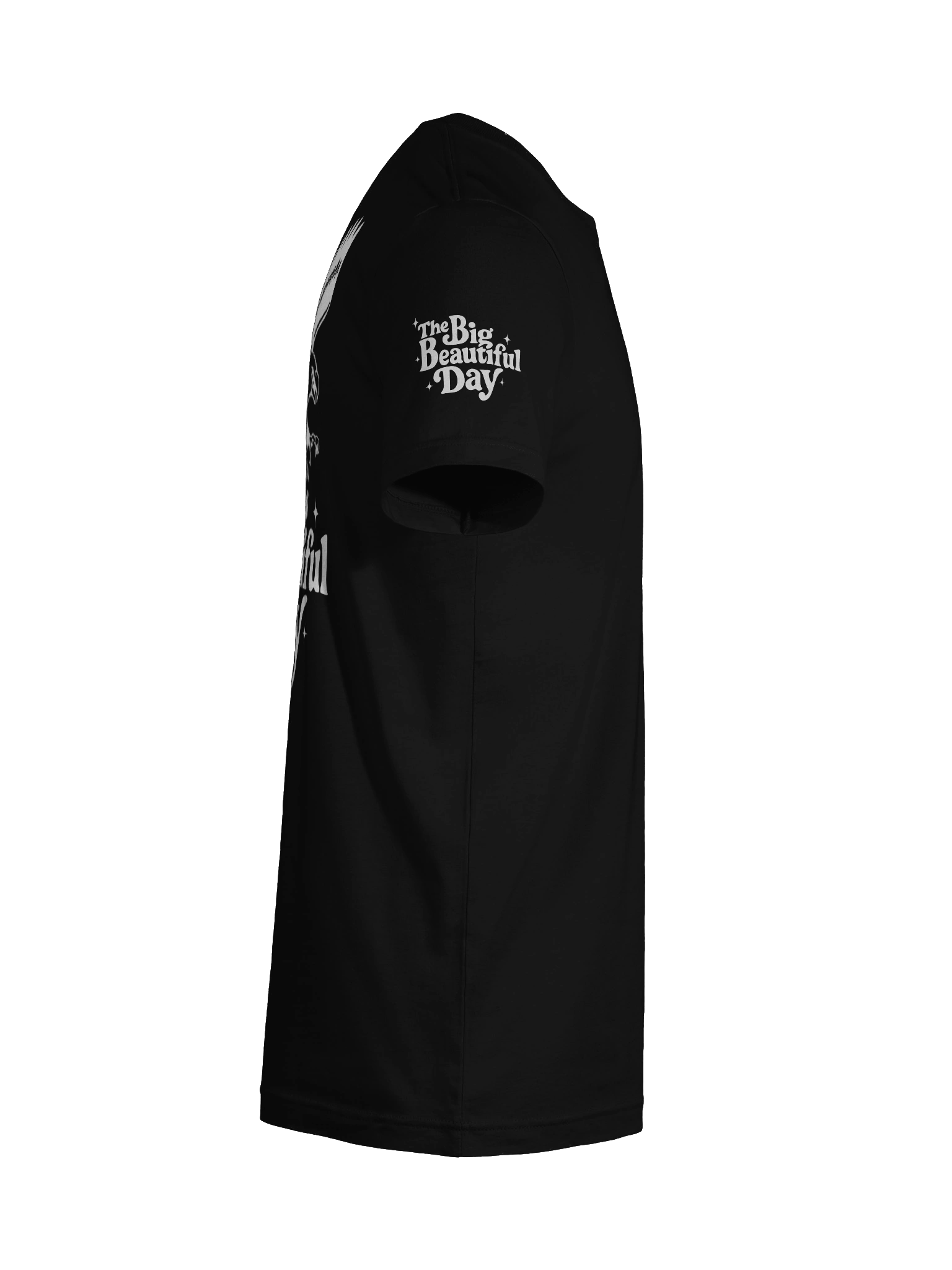 Soaring Big Beautiful Day Tee | Bella+Canvas product image (12)