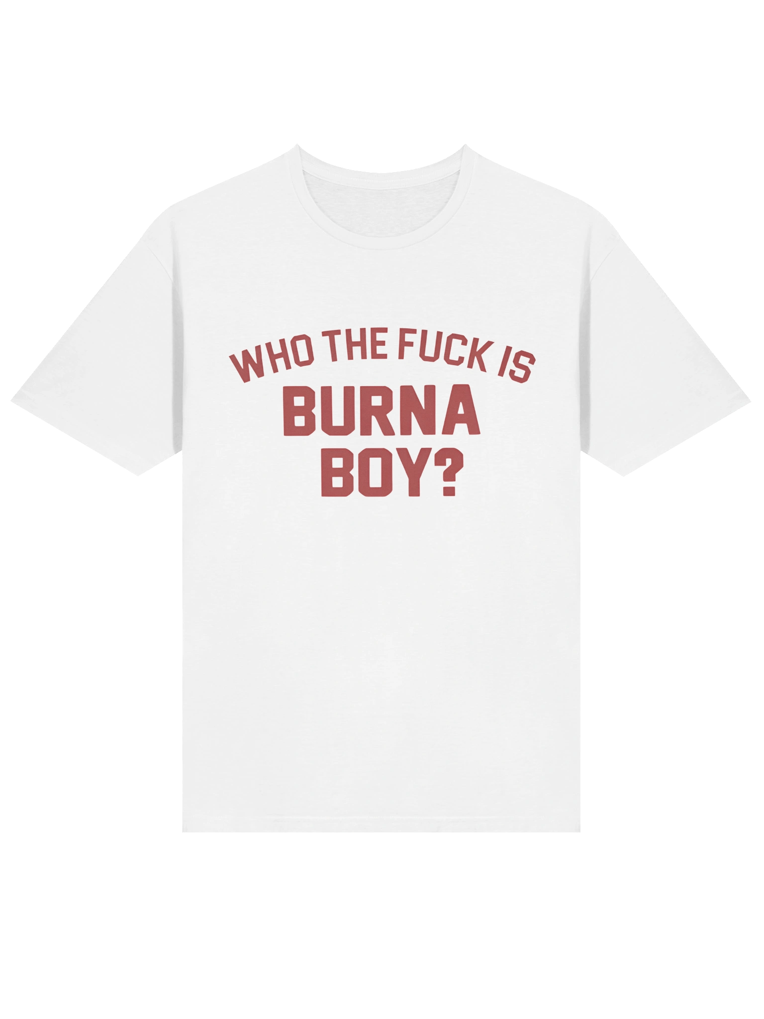 Who The Fuck Is Burna Boy T-Shirt product image (2)